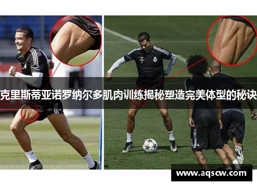 克里斯蒂亚诺罗纳尔多肌肉训练揭秘塑造完美体型的秘诀